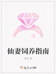 仙妻攻略6