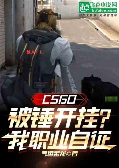 csgo开挂还嘲讽人