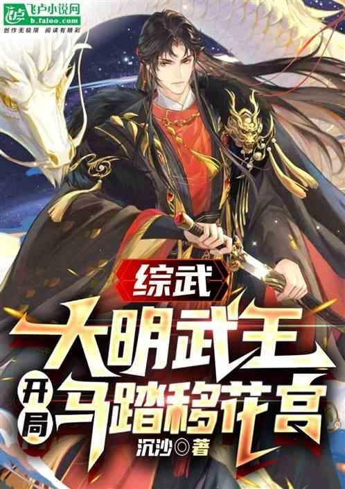 大明综武