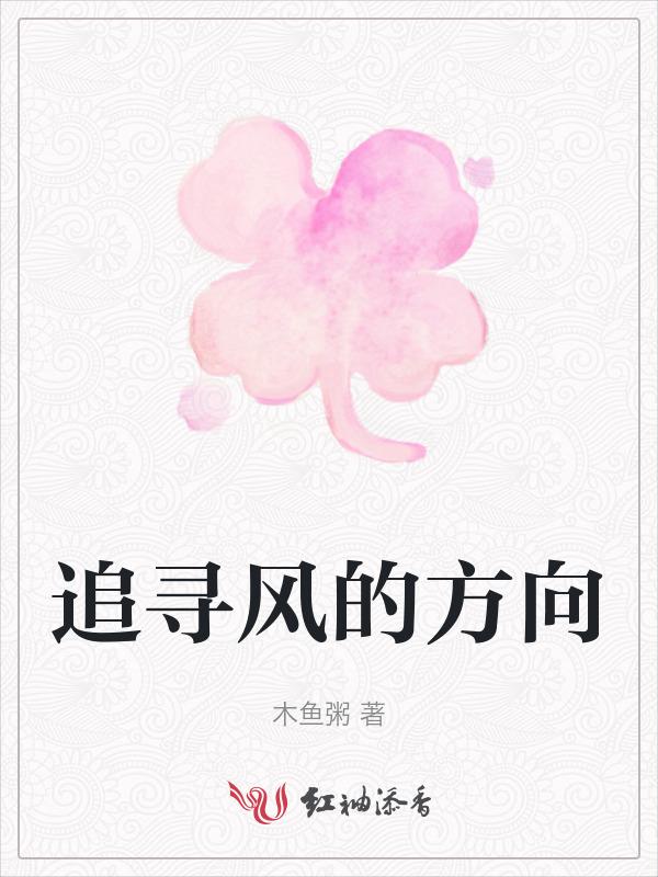 去追逐风的方向 探寻梦的光亮