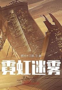霓虹迷离的意思
