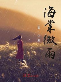 海棠微雨共归途是什么书