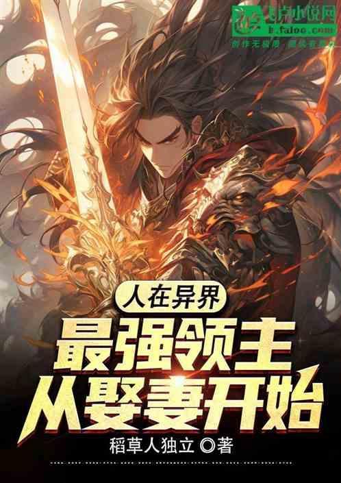 我在异界当领主txt
