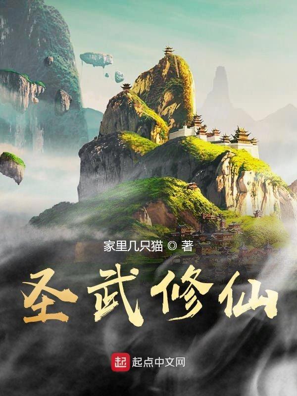 圣武免费阅读