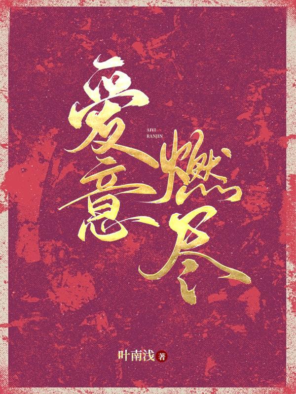 爱意燃尽傅