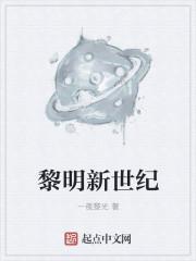 新黎明股份有限公司