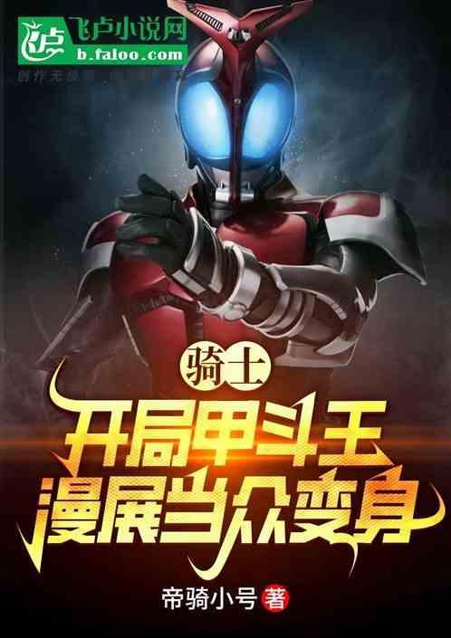 甲斗剧场版骑士