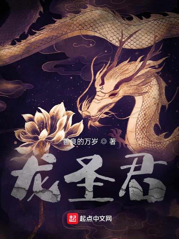 玄龙圣君大结局