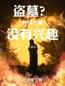 古董盗墓类
