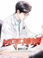 妙手狂婿免费全本