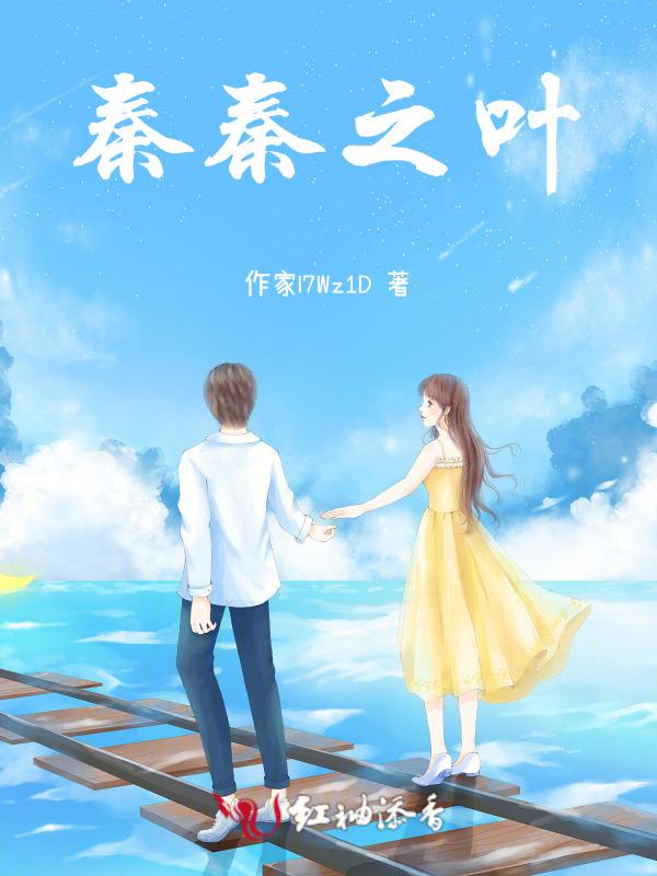 关于秦叶的