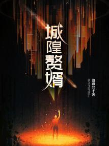 赘婿怎么破城的