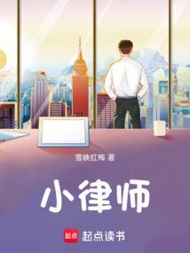 小爸爸 律师