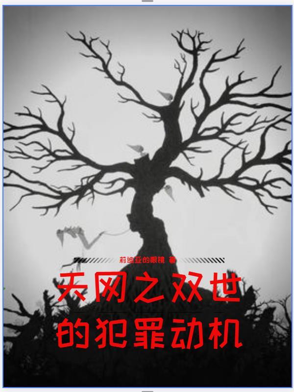 双面盗贼