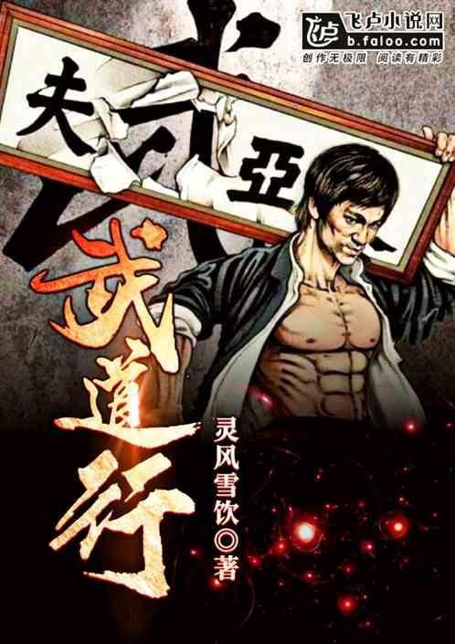 武道行6破解版