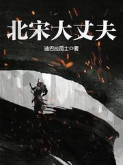 北宋大丈夫正版TXT