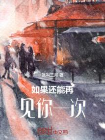 如果还能再见你一次歌词