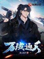 空姐这个圈子很乱吗