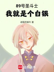 29个白银圣斗士