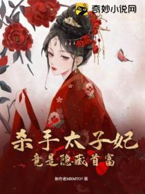 杀手太子妃又狠又媚全文免费读