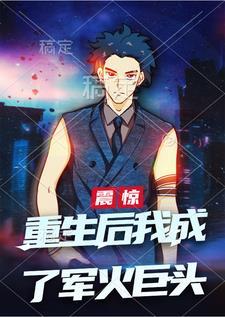 重生军火皇后