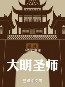 大明圣师全集免费观看