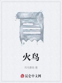 火鸟支架的寿命