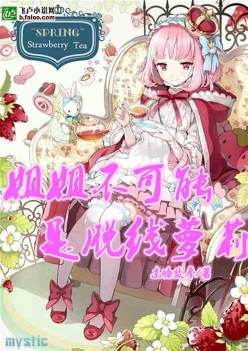 姐姐不可能那么可爱结局