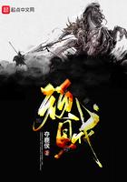 顽贼百科