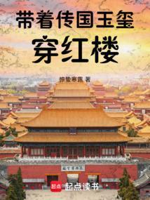 带着传国玉玺穿红楼免费阅读