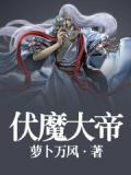 伏魔大帝简介