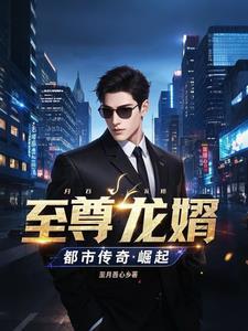 至尊龙婿新阅读