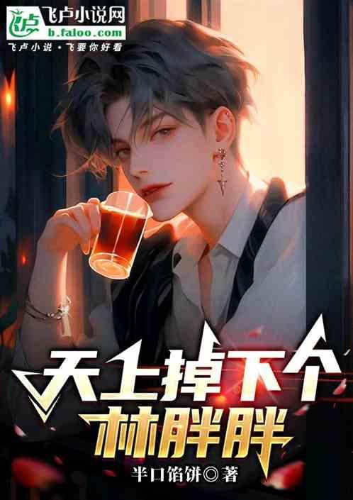 歌词天上掉下个林妹妹