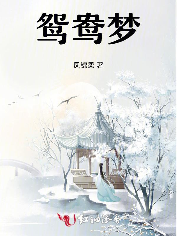 鸳鸯梦txt百度