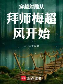 穿越射雕拜师一灯