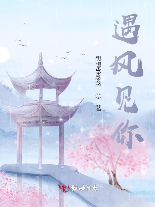 我遇见风遇见你