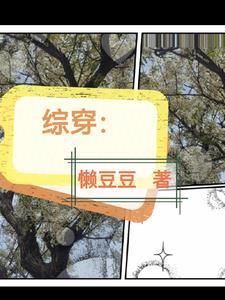 综穿美人惊鸿照影来免费阅读