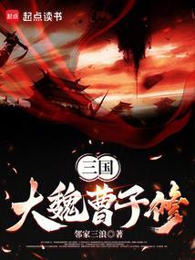 三国之曹魏大公子