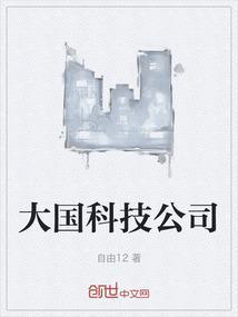 大国高科txt