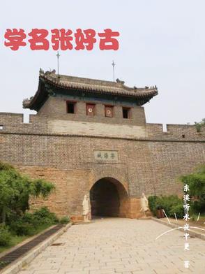 张好好诗书法作品