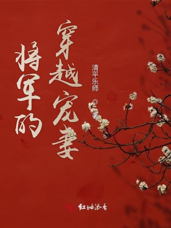 将军的穿越小妾