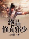 极品修真邪少介绍