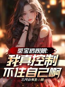 透视鉴宝在都市