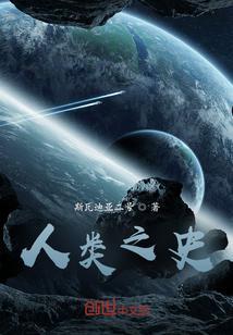 人类之网鸟瞰世界历史