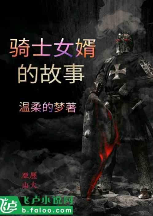 骑士女婿的故事简介