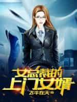 女总裁的上门女婿完整版免费观看