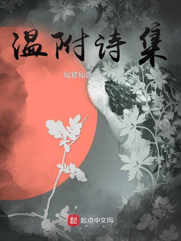 录苏轼诗词