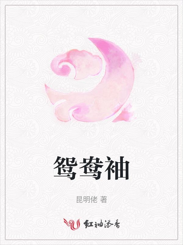 鸳鸯袖里握兵符全诗翻译