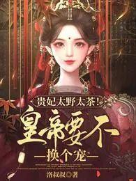 贵太妃番外txt