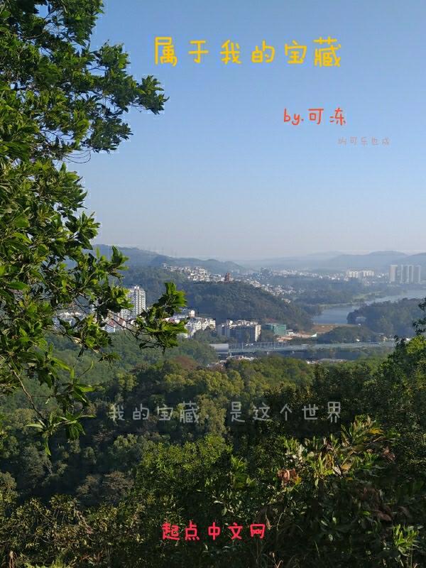 我的宝藏600字作文